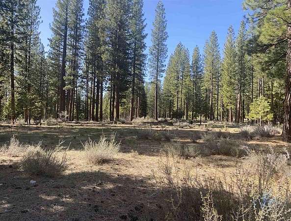 0.55 Acres of Residential Land for Sale in Clio, California