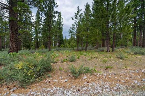 0.62 Acres of Residential Land for Sale in Clio, California