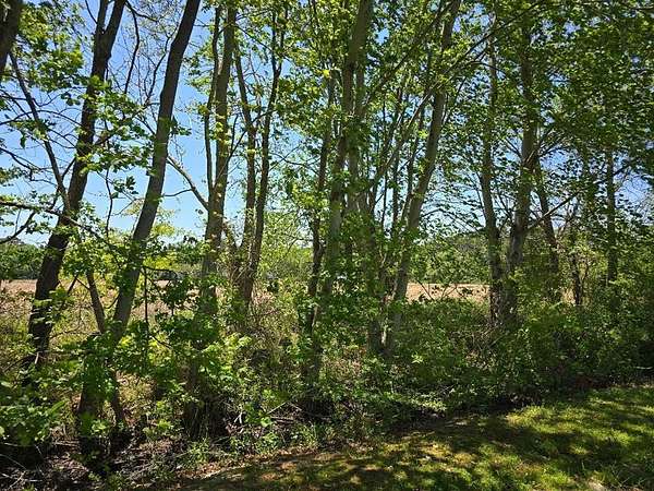 12.5 Acres of Land for Sale in Mappsville, Virginia