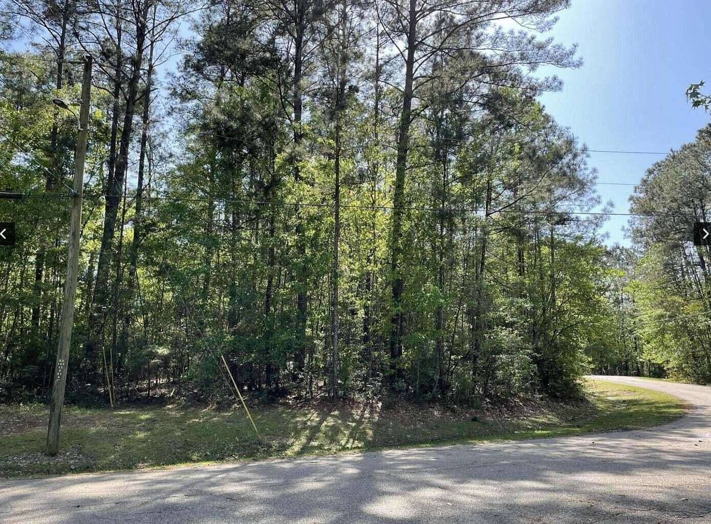 0.95 Acres of Residential Land for Sale in Lumberton, Mississippi