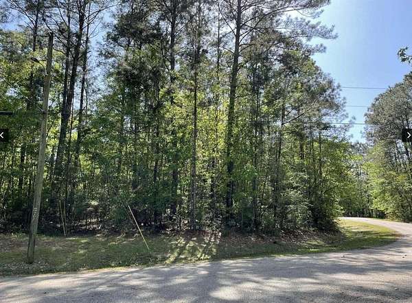 0.95 Acres of Residential Land for Sale in Lumberton, Mississippi