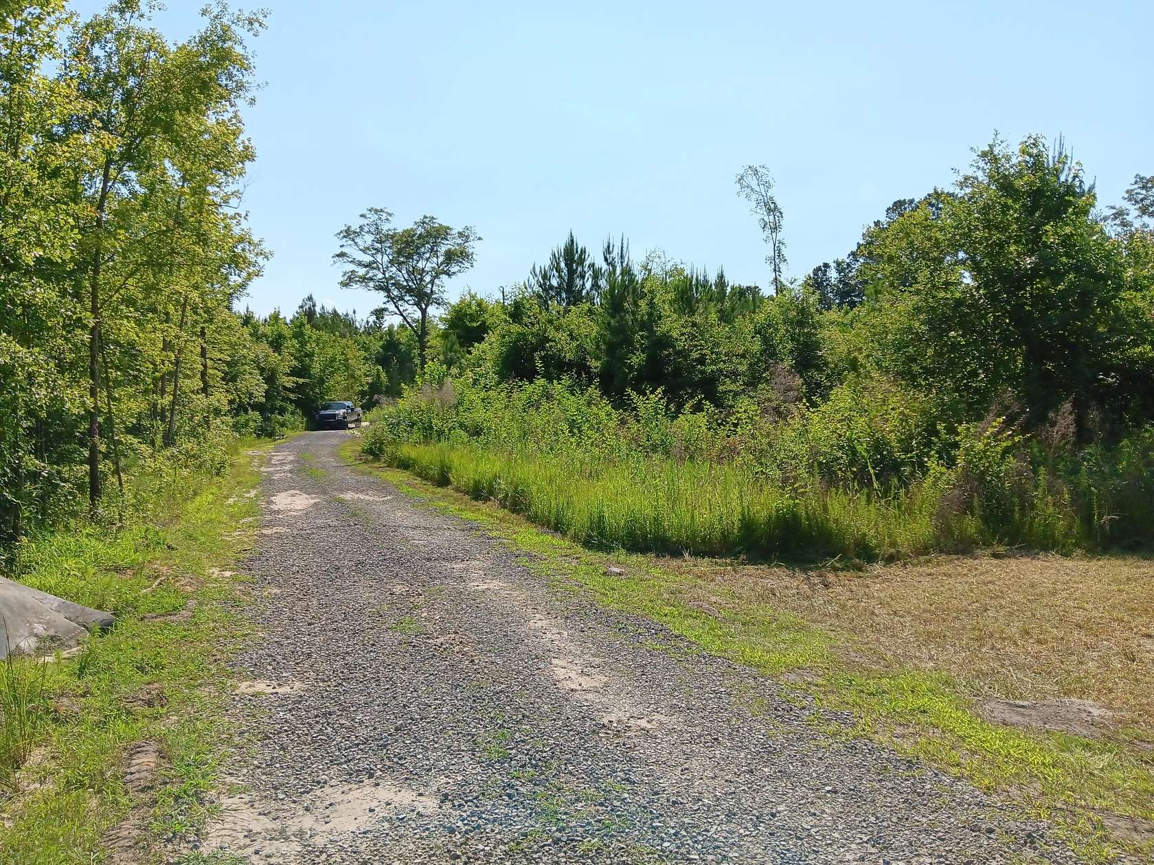 2.22 Acres of Residential Land for Sale in St. George, South Carolina