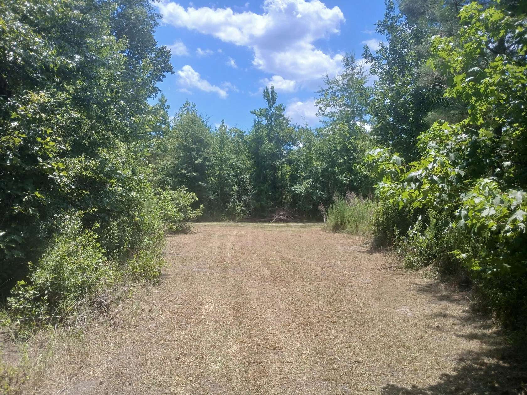 2.22 Acres of Residential Land for Sale in St. George, South Carolina