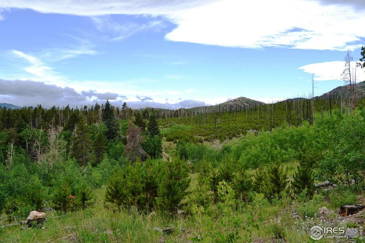 40 Acres of Recreational Land for Sale in Bellvue, Colorado