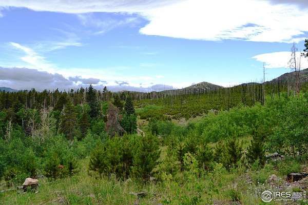 40 Acres of Recreational Land for Sale in Bellvue, Colorado