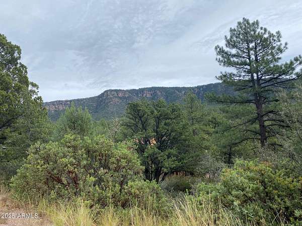 0.34 Acres of Residential Land for Sale in Pine, Arizona