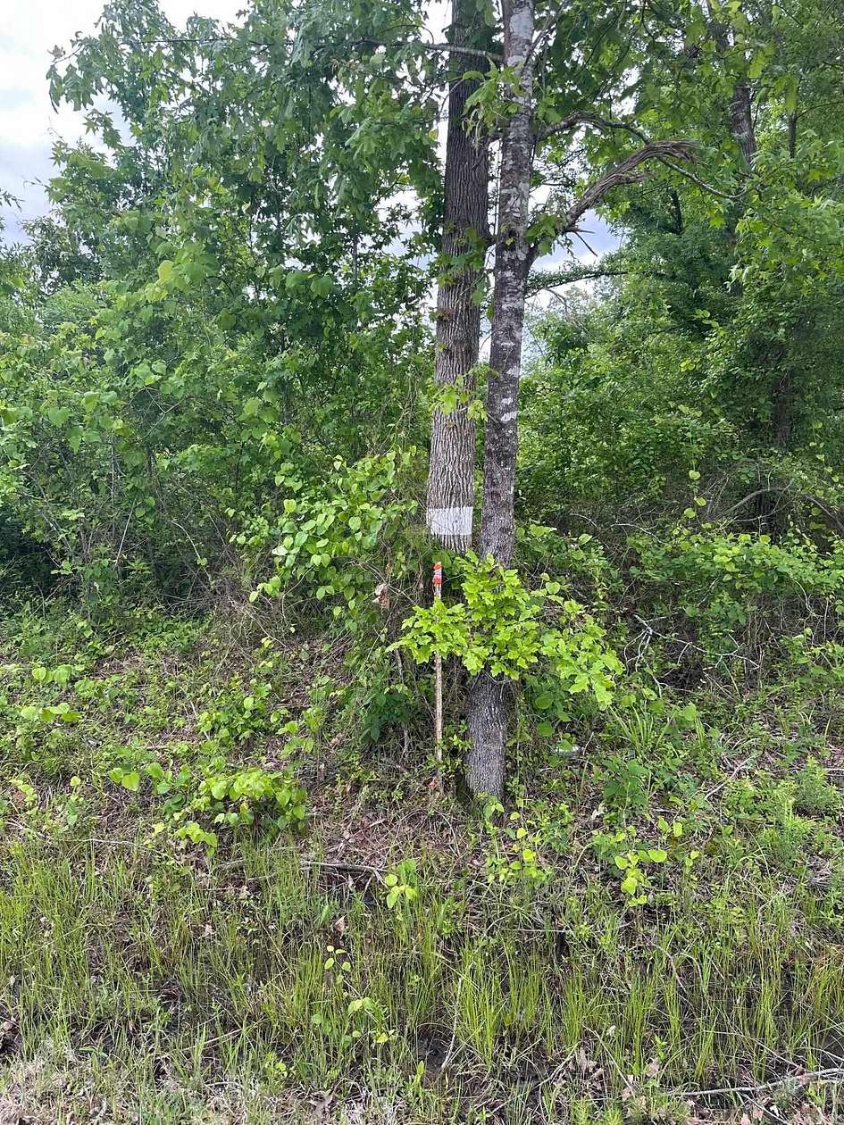 53 Acres of Recreational Land for Sale in Crossett, Arkansas
