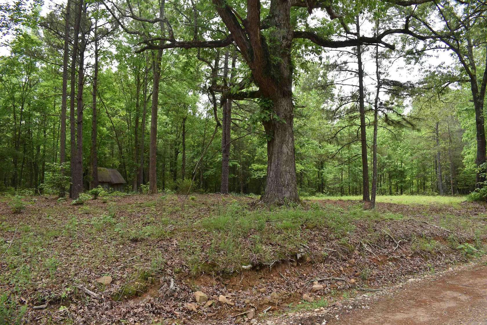 77 Acres of Recreational Land for Sale in Amity, Arkansas