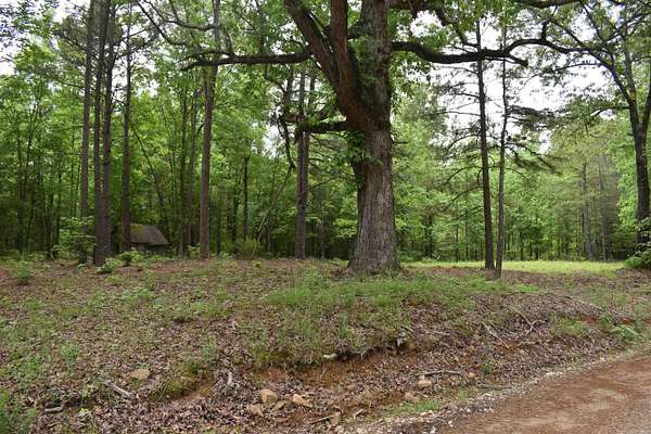 77 Acres of Recreational Land for Sale in Amity, Arkansas