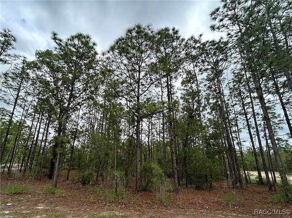 0.76 Acres of Land for Sale in Weeki Wachee, Florida