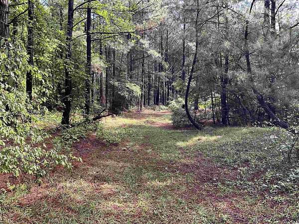 19.8 Acres of Mixed-Use Land for Sale in Cheraw, South Carolina