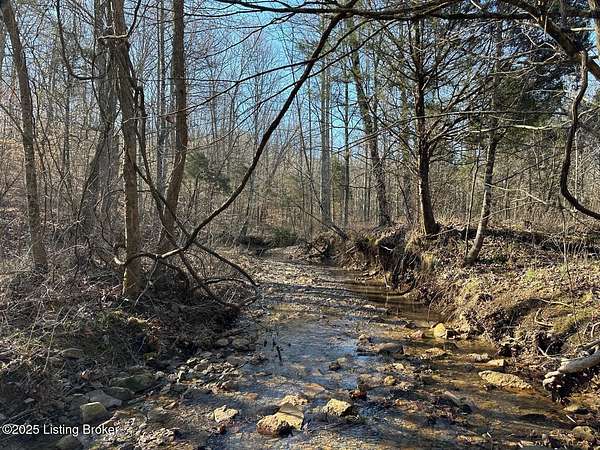 66.7 Acres of Recreational Land for Sale in Caneyville, Kentucky