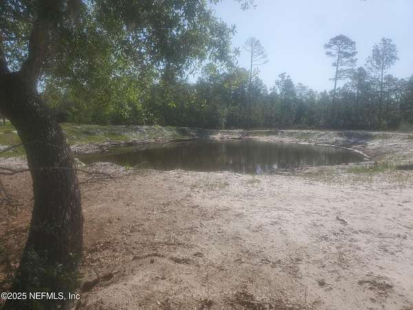 11.5 Acres of Land for Sale in Crescent City, Florida