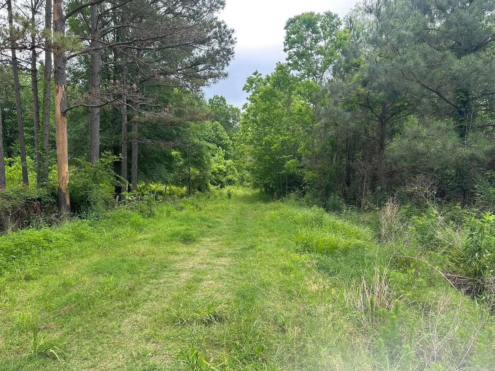 53.5 Acres of Recreational Land for Sale in Fountain Hill, Arkansas