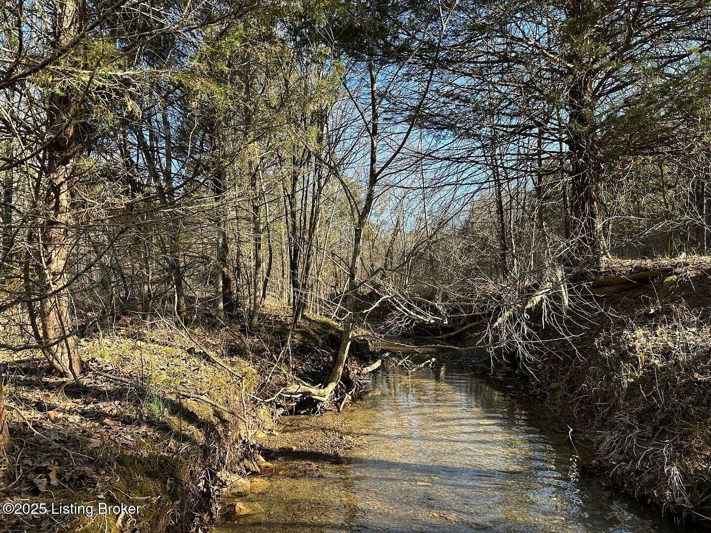 54.7 Acres of Recreational Land for Sale in Caneyville, Kentucky