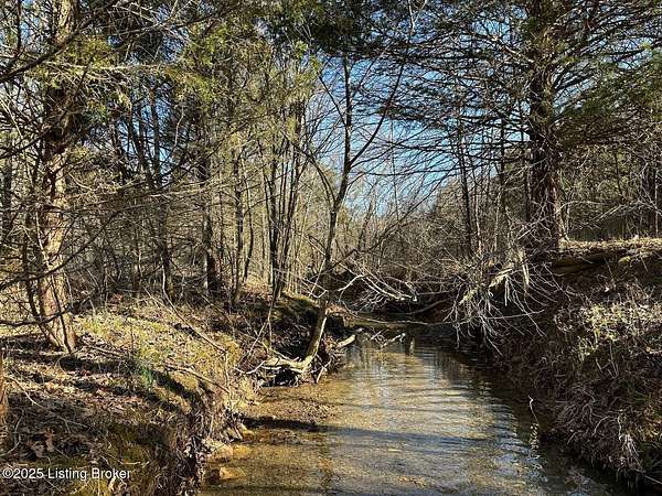 54.7 Acres of Recreational Land for Sale in Caneyville, Kentucky