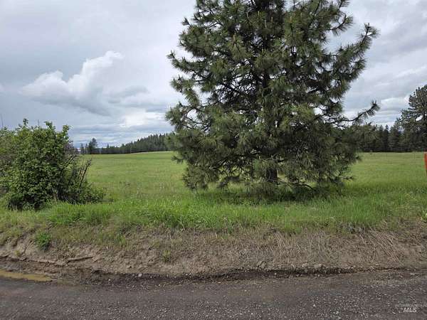 2 Acres of Land for Sale in Orofino, Idaho