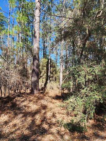 0.29 Acres of Residential Land for Sale in Brookeland, Texas