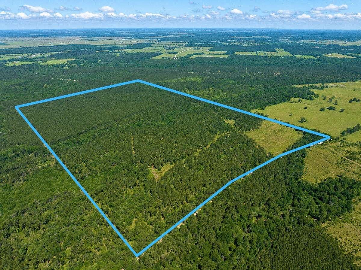 205 Acres of Recreational Land for Sale in Trinity, Texas