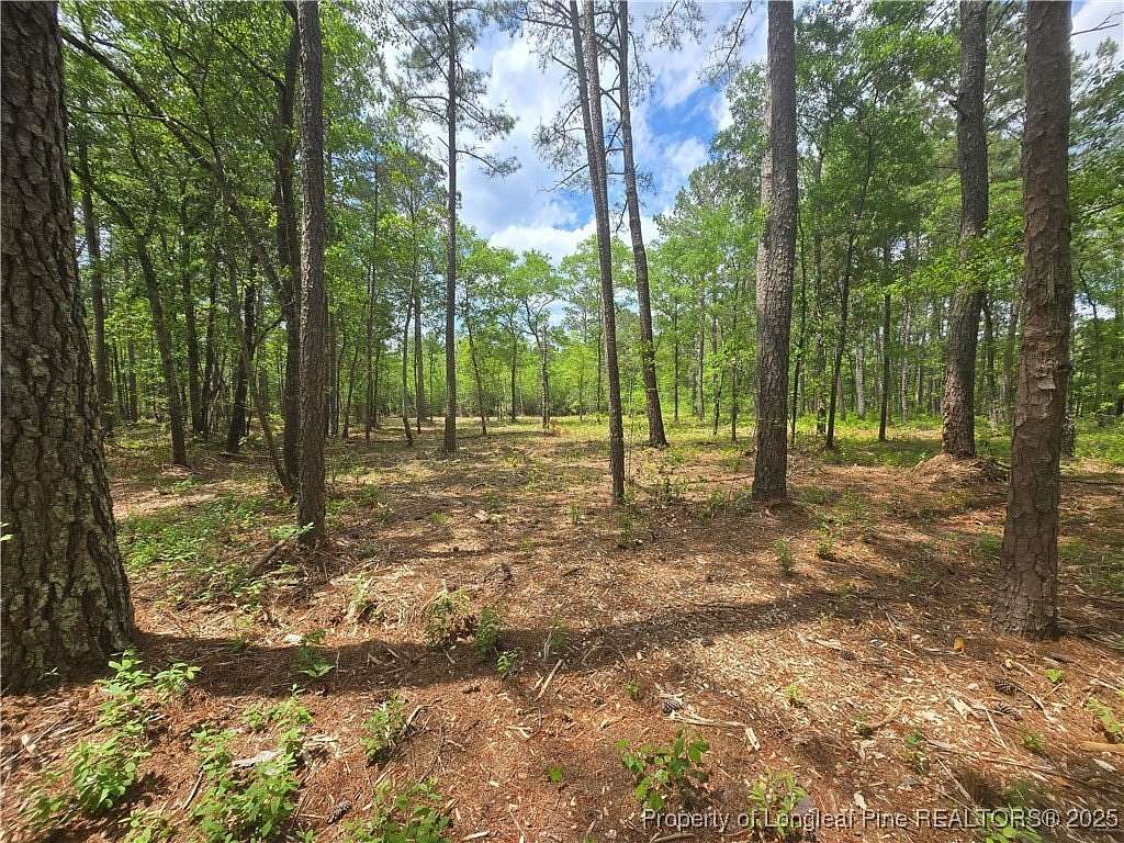 25 Acres of Recreational Land for Sale in Fayetteville, North Carolina