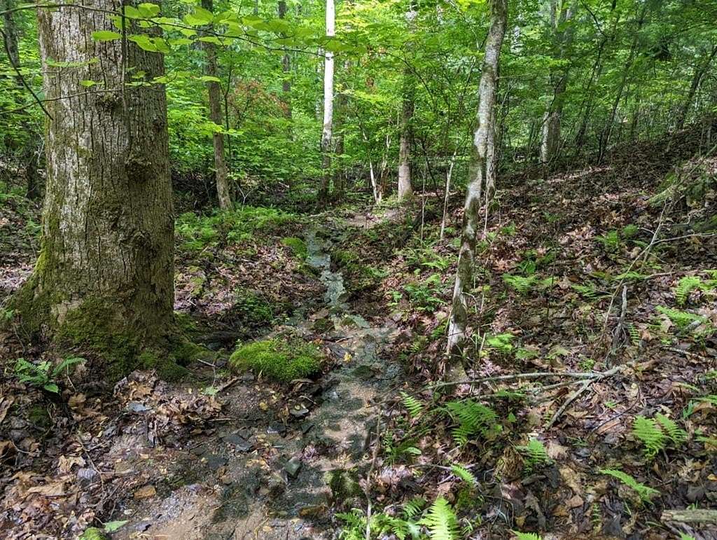 Land for Sale in Brasstown, North Carolina