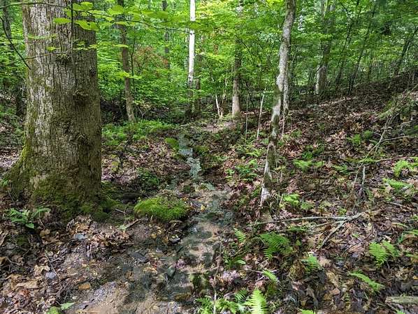 Land for Sale in Brasstown, North Carolina