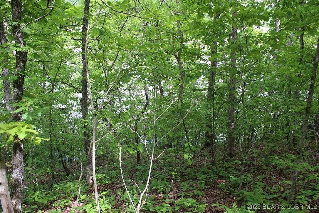 0.29 Acres of Land for Sale in Gravois Mills, Missouri