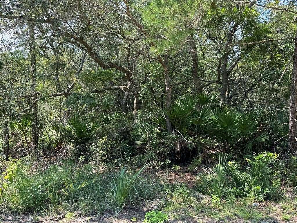 0.23 Acres of Residential Land for Sale in Lanark Village, Florida