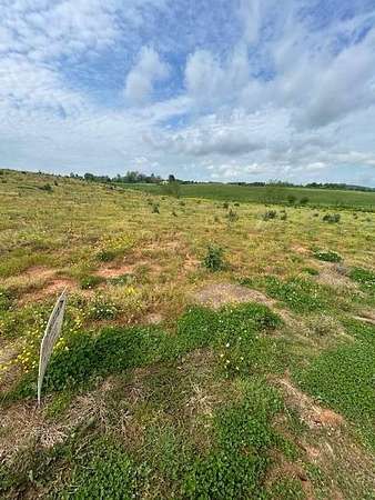 15 Acres of Land for Sale in Hardyville, Kentucky