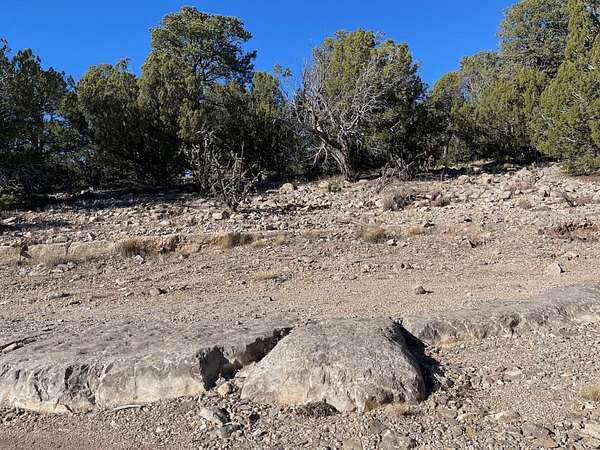 1 Acre of Land for Sale in Tijeras, New Mexico