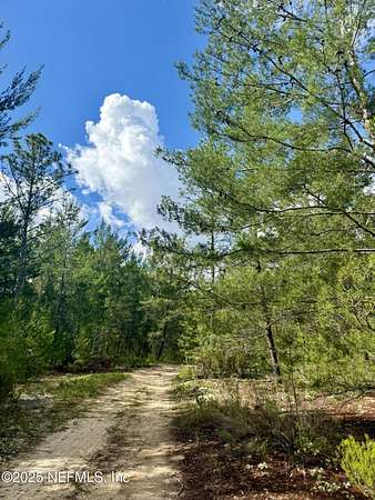 0.36 Acres of Residential Land for Sale in Hawthorne, Florida