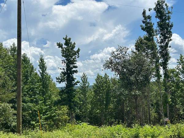 8.64 Acres of Residential Land for Sale in Laneville, Texas