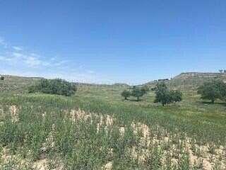 2 Acres of Residential Land for Sale in Canyon, Texas