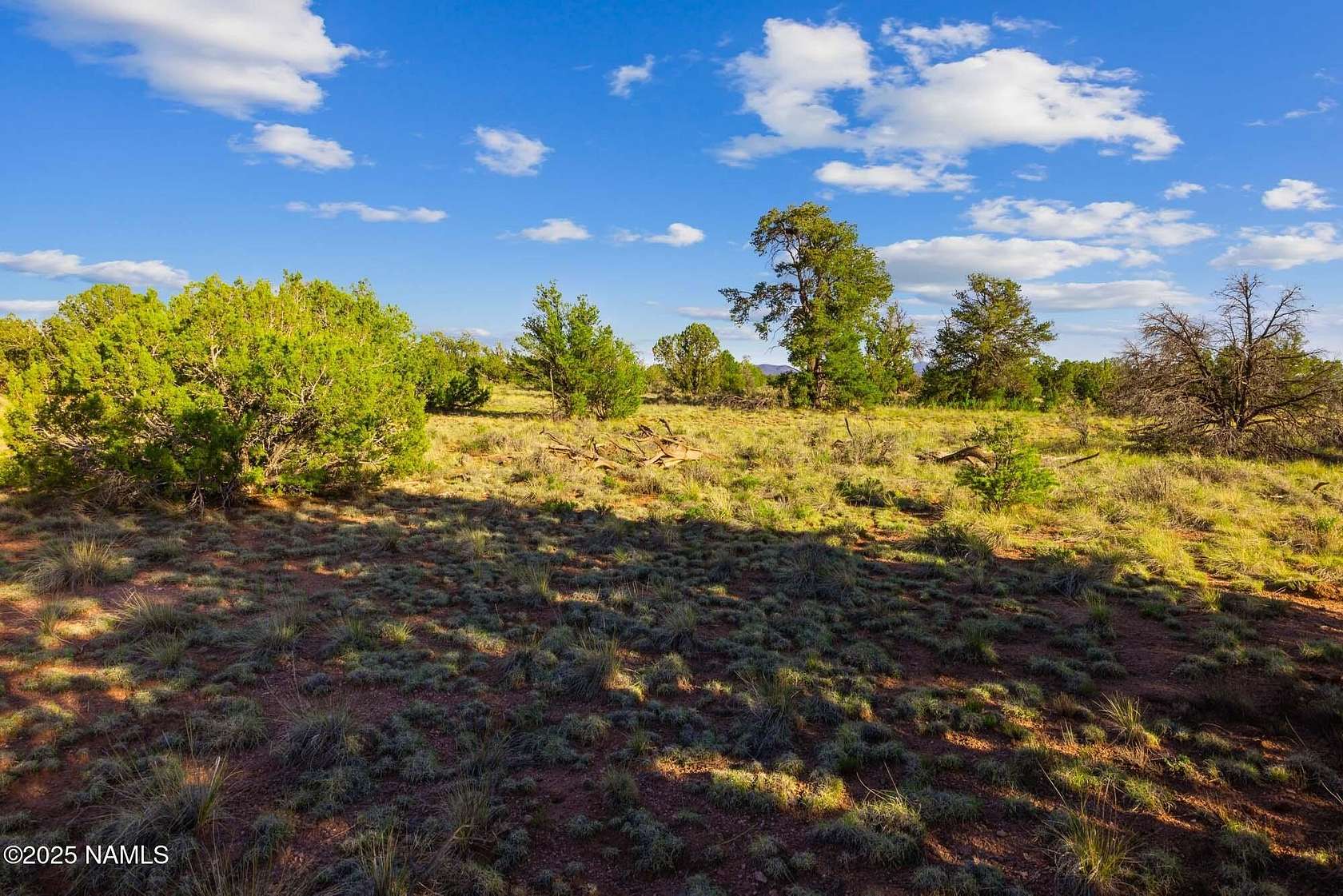 1.2 Acres of Residential Land for Sale in Williams, Arizona