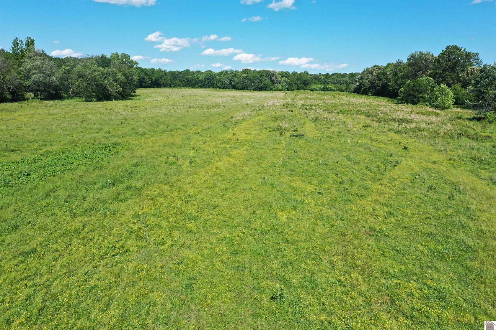 185 Acres of Land for Sale in Gilbertsville, Kentucky
