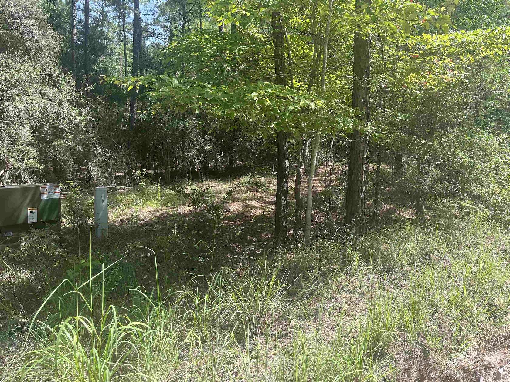 0.18 Acres of Land for Sale in Brookeland, Texas