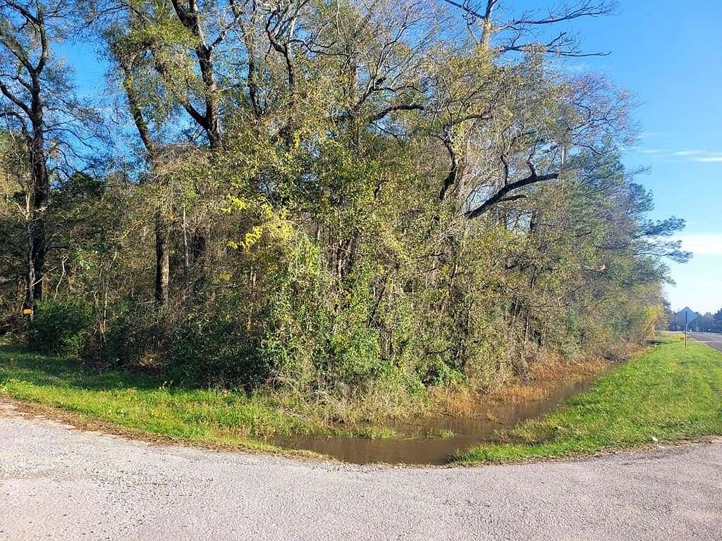 0.34 Acres of Residential Land for Sale in Vidor, Texas