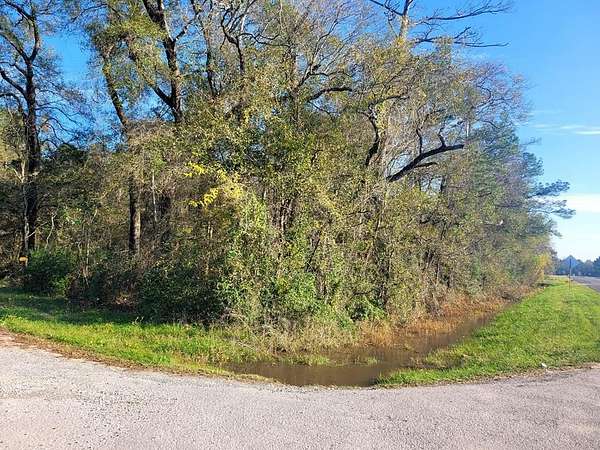 0.34 Acres of Residential Land for Sale in Vidor, Texas