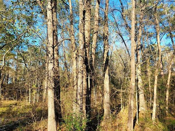 0.22 Acres of Residential Land for Sale in Vidor, Texas