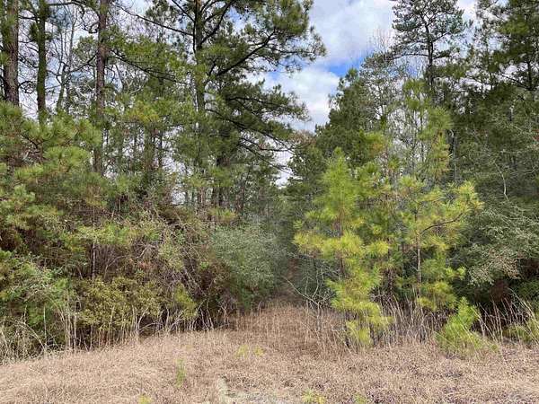 0.39 Acres of Residential Land for Sale in Brookeland, Texas