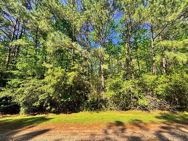 0.5 Acres of Residential Land for Sale in Brookeland, Texas