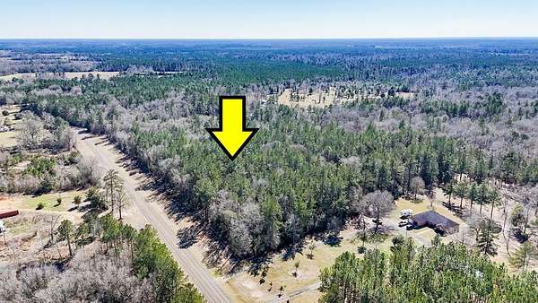 13.9 Acres of Land for Sale in Kirbyville, Texas