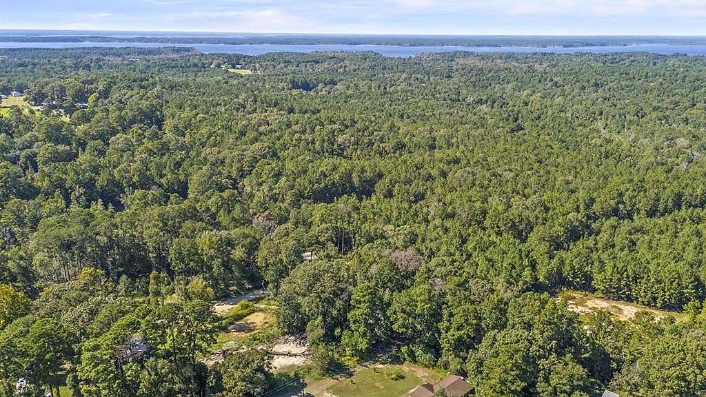 0.2 Acres of Land for Sale in Brookeland, Texas