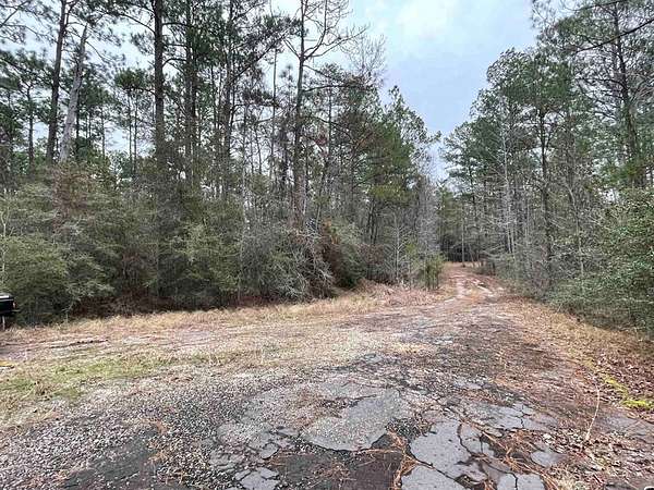 0.22 Acres of Land for Sale in Brookeland, Texas