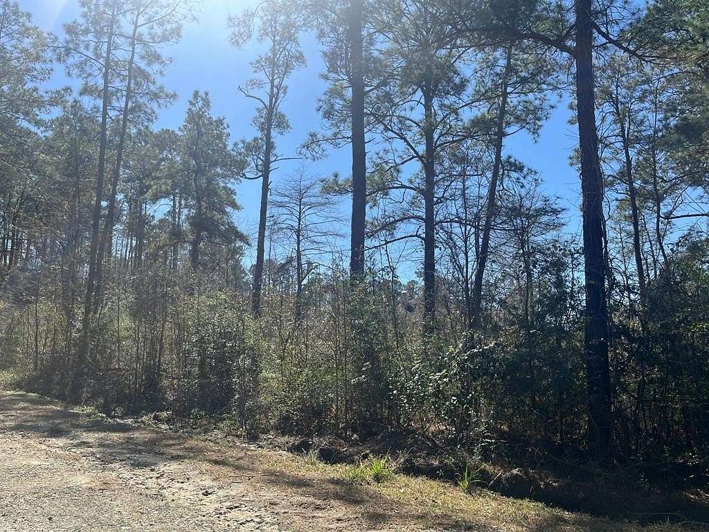 0.49 Acres of Residential Land for Sale in Brookeland, Texas