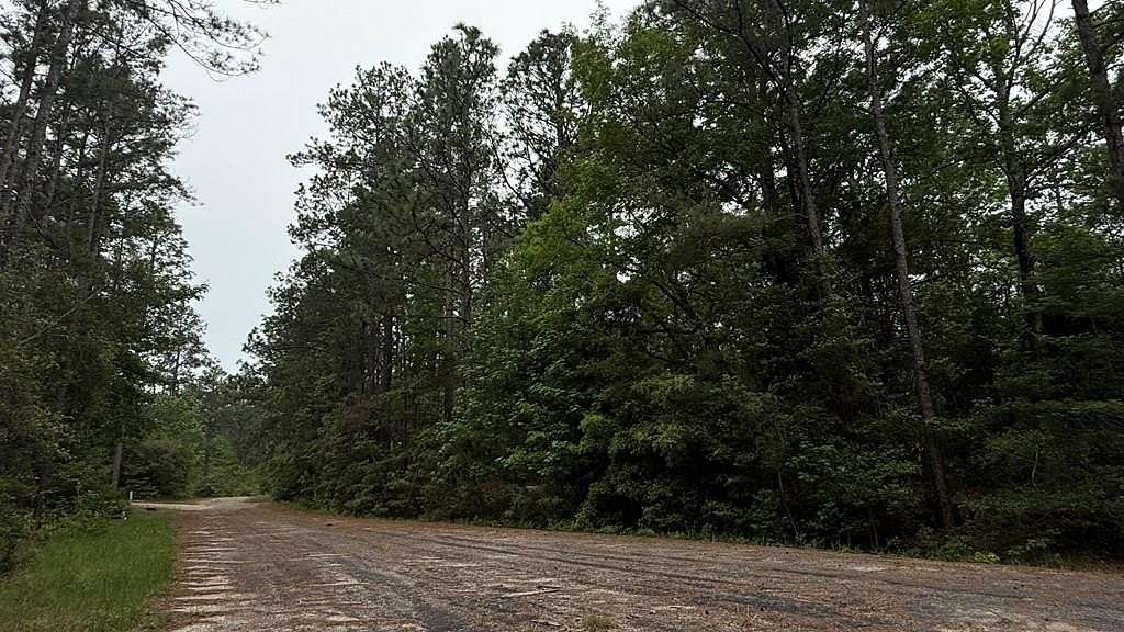 0.49 Acres of Residential Land for Sale in Brookeland, Texas