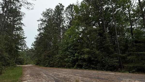 0.49 Acres of Residential Land for Sale in Brookeland, Texas