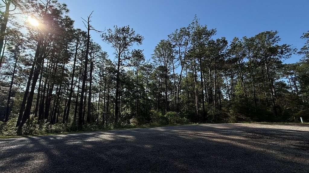 0.31 Acres of Residential Land for Sale in Brookeland, Texas