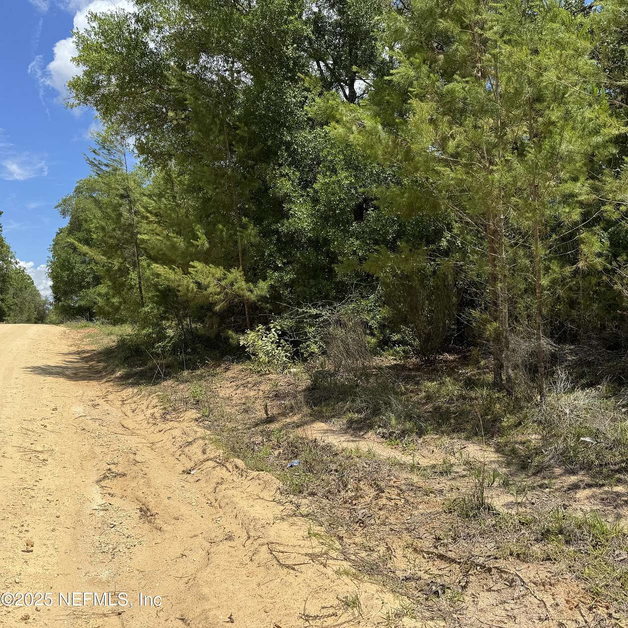 0.46 Acres of Residential Land for Sale in Interlachen, Florida