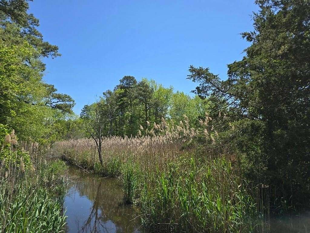 20.5 Acres of Agricultural Land for Sale in Bloxom, Virginia